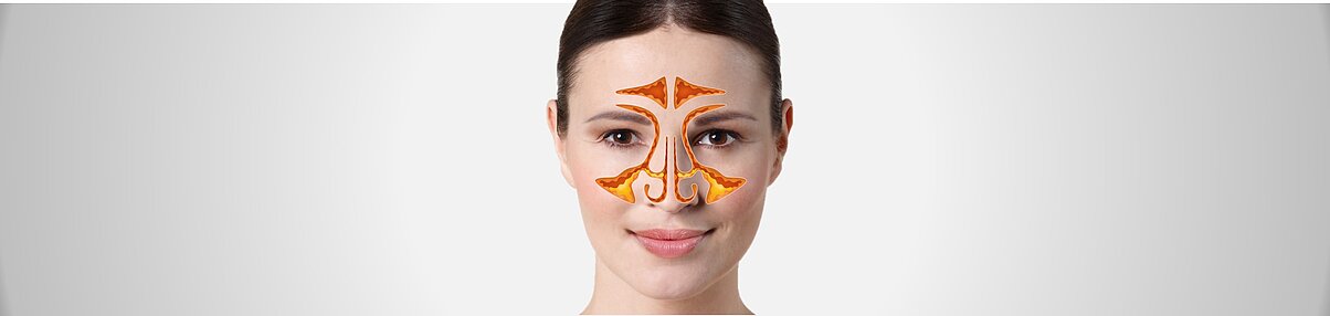 Header - Anatomie der Nase