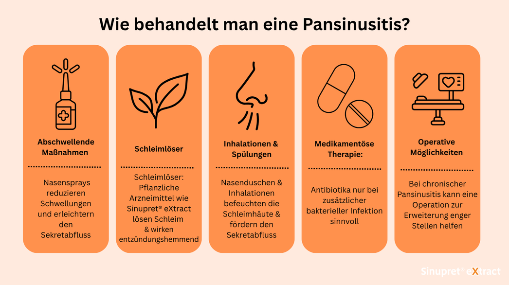 Infografik Pansinusitis